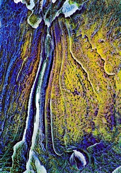 A 11L